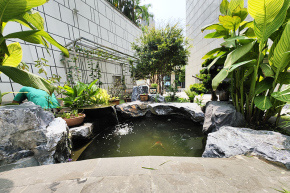 室内鱼池设计如何去除青苔？设计的注意事项